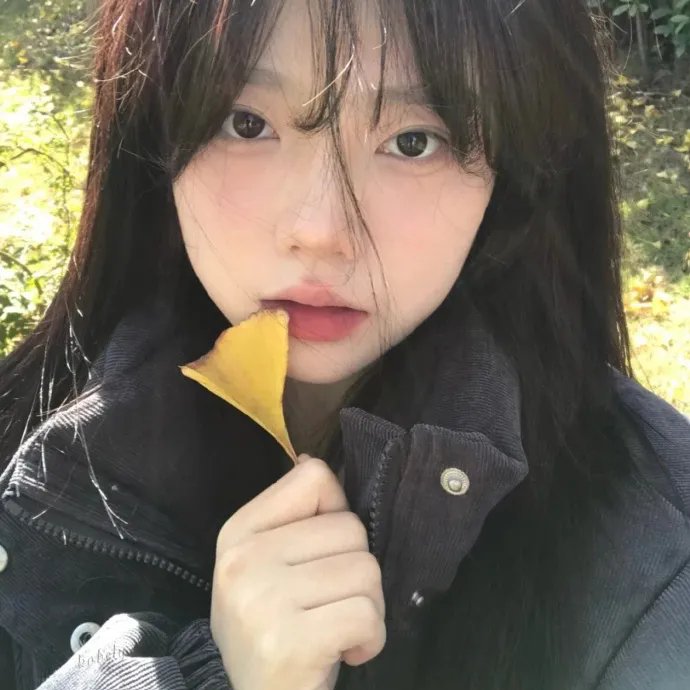 鹊刀门传奇